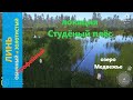 Русская рыбалка 4 - озеро Медвежье - Линь обычный трофейный и золотистый