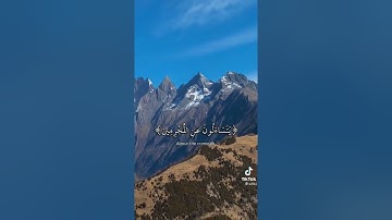 القارئ بدر التركي : من سورة المدثر