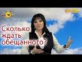 Наталья Толстая - Сколько ждать обещанного?