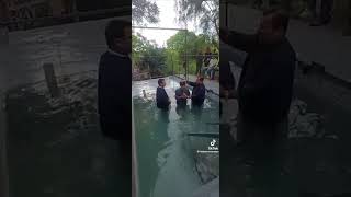 Batismo Ccb Menino Manifesta Selo Dapromessa Nas Águas Coisa Linda Cultoc