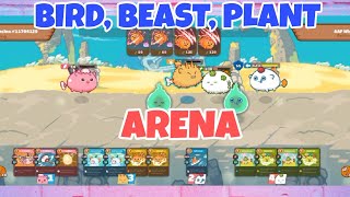 BIRD, BEAST, PLANT | Sisa Canicula axie axieinfinity axiearena