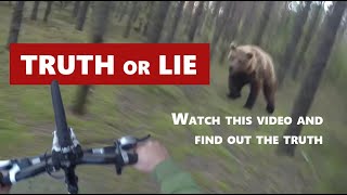 The Whole Truth About The Bear Attack Video