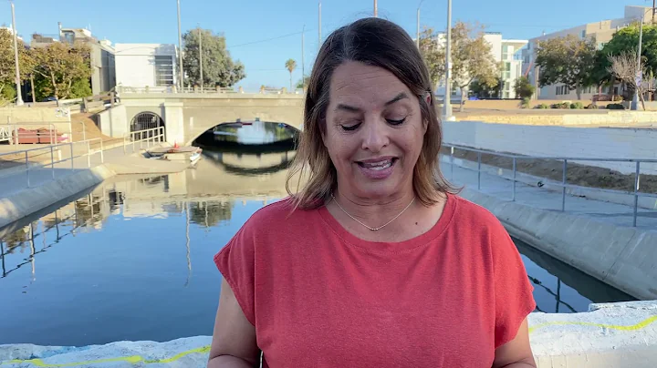 Climate Leader Julie Schulz Opposes the Reese Davi...