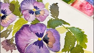 75 mins of Watercolor pansies from drawing them to painting them,  twotutorials in one