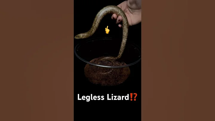 New LEGLESS Lizard!