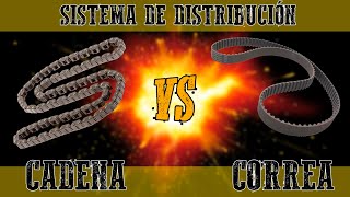 Correa VS cadena de distribución  Cadena VS banda | Motorparts