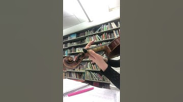 Swallowtail Jig first half #play