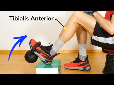 Scheenbeentraining: 4 voethefoefeningen (halter, kettlebell) Musculus tibialis anterior