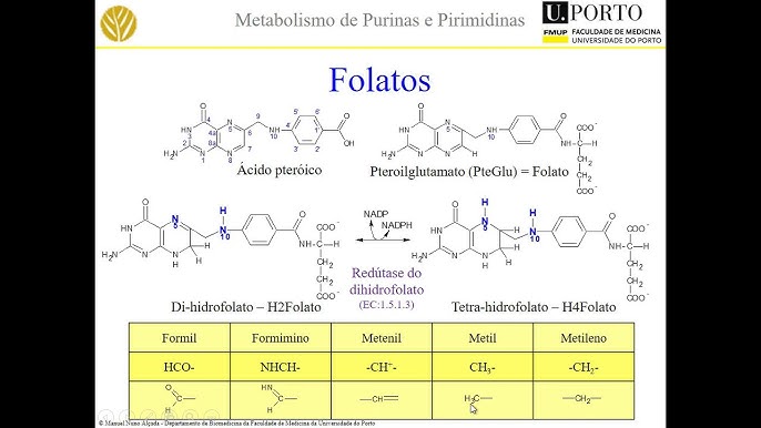 Drogaria Mantiqueira - OFOLATO 30 COMPRIMIDOS O L- metilfolato de cálcio é  o metabólito ativo do ácido fólico, a vitamina B9 que desempenha várias  ações no nosso organismo. Sugestão de uso: Ingerir