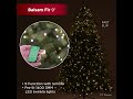 9 ft. Balsam Fir Classic Christmas Tree Lighting