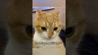 Do You Know 2+2=6. Stay With Me Now