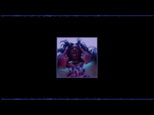 Megan Thee Stallion - Thot Shit Edit Audio class=