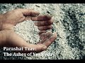 Jerusalem Lights Parashat Tzav/Passover 5781: The Ashes of Yesterday