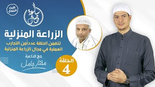 بث_مباشر - برنامج التواصل المباشر ساعة_وصال - الزراعة المنزلية -@alerthTV