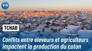 Tchad : l'urgence de trouver des solutions aux conflits entre éleveurs et agriculteurs