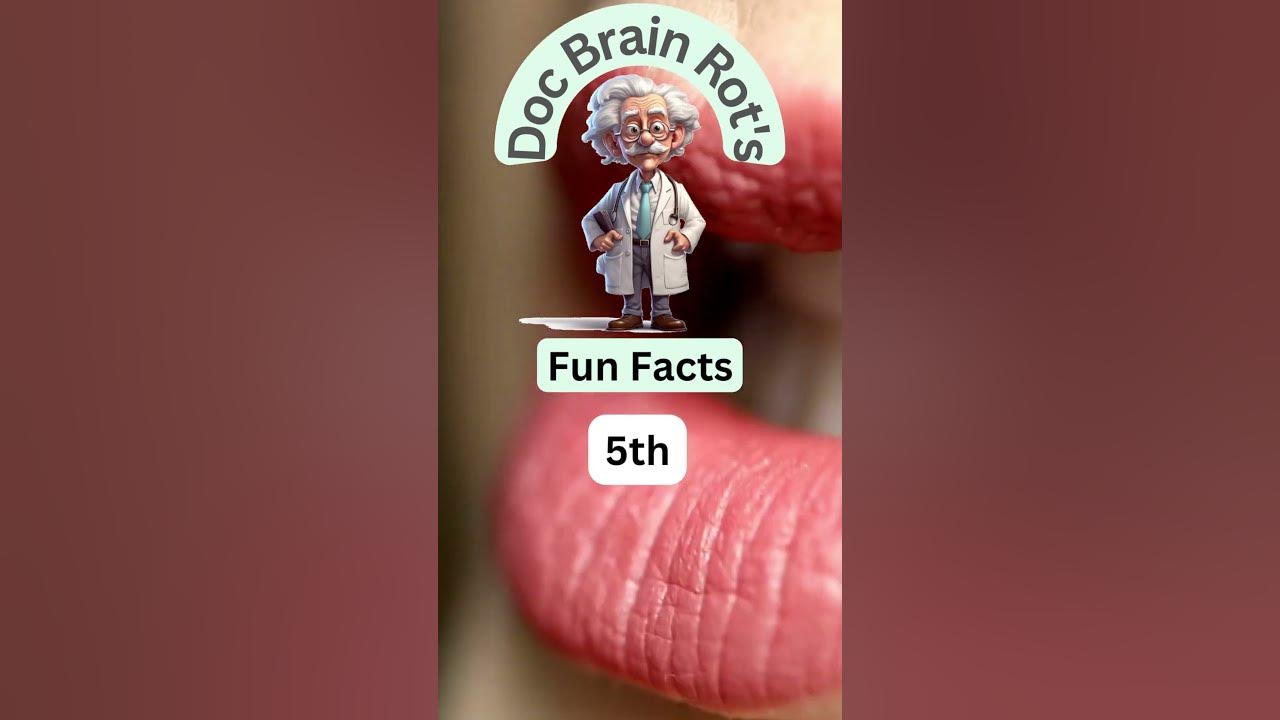 World's Top 5 Most Spoken Second Languages? Fun Facts Prescribed by Doc ...