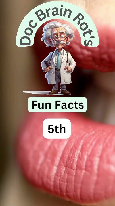 World's Top 5 Most Spoken Second Languages? Fun Facts Prescribed by Doc ...
