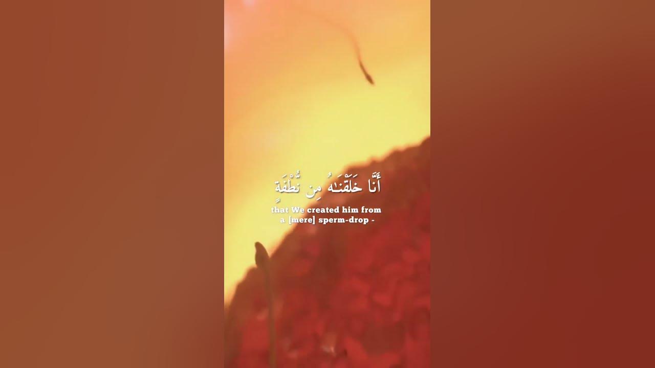 ya-sin-36-77-shorts-quran-youtube