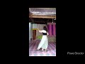 Señorita (Cha-cha-cha)  -Ballroom Dance Performance in P.E -