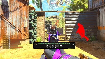 EXPOSING HACKERS in Black Ops 4.. (COD BO4)