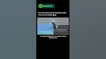 Meet SQuad 🤯 Mini Robot That Walks & Climbs Obstacles! 🐜 #robotics #ai #innovation #science #tech