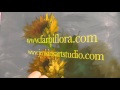 The Beauty of Oil Painting, Mini Delights Youtube Shows, Episode 3 " Sunflowers "