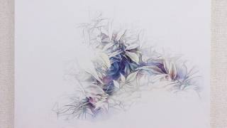 杉木奈美 展　Nami Sugiki Solo Exhibition ,2017