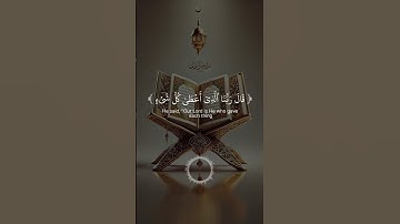 قرآن كريم تلاوات قرانيه خاشعة #اكسبلور #القران #تيك_توك