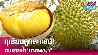 ฮือฮา"ทุเรียนนางพญา"ราคาลูกละแสน | เรื่องดีดีทั่วไทย | 13-5-67