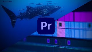 5 Video Editing Tips for Underwater Videographers