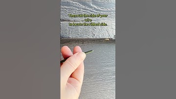 Introduction to Vampire Plugs