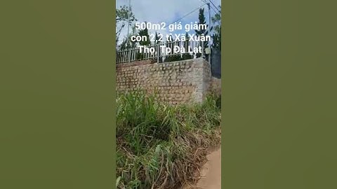 500m2 giá giảm còn 2,2 tỉ Xã Xuân Thọ, Tp Đà Lạt p05. 0962004900 #shorts