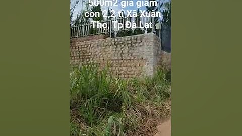 500m2 giá giảm còn 2,2 tỉ Xã Xuân Thọ, Tp Đà Lạt p05. 0962004900 #shorts