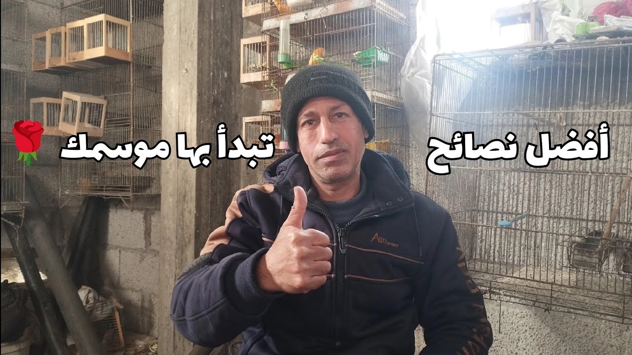 أفضل نصائح لبدء موسم 2025 (أسباب هجران إناث الكناري للعش)