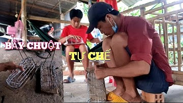 Bẫy Chuột Cống Nhum Huyền Thoại/Homemade mouse trap | Linh đức huệ vlog
