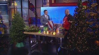 How To Pick The Right Christmas Tree