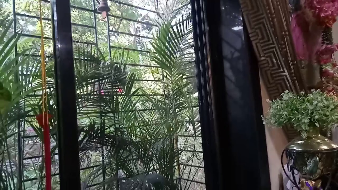 Tiruppavai Pasuram 8 - English