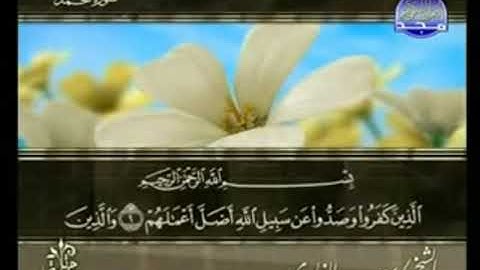 سورة محمد  من الآية 1 الى الآية 19