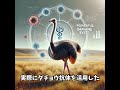 【驚愕】ダチョウってこんな生き物だったの!?#動物雑学 #豆知識