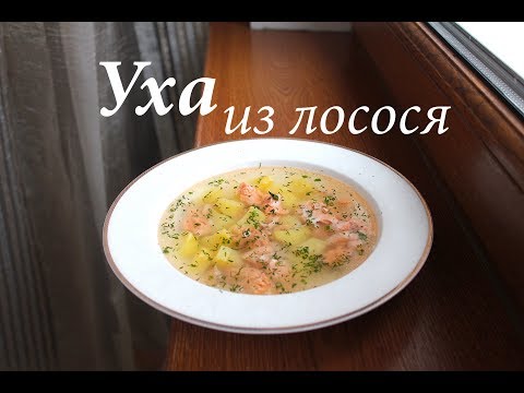 Уха из лосося/ Уха из красной рыбы/ Готовлю с любовью