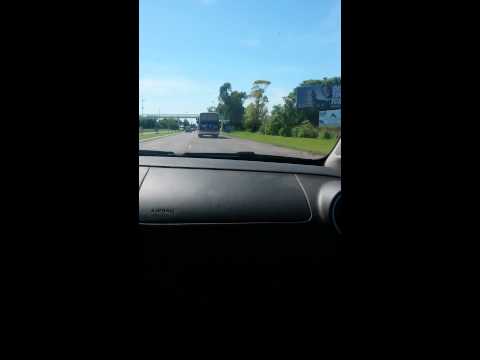La gorda rastrera de celular