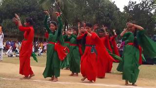 ঘোড়াঘাট উপজেলার ২৬ মার্চ মহান স্বাধীনতা ও জাতীয় দিবস উদযাপন অনুষ্ঠানে মনোমুগ্ধকর ডিসপ্লে