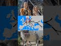 Североцентральноевропейская гипотеза индоевропейской прародины
