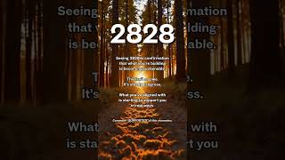 Seeing 2828? Stability & Abundance Are Becoming Sustainable ✨ Angel Number Meaning
