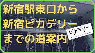 新宿駅東口から新宿ピカデリーまでの道案内(アクセス,行き方,道順)