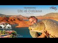 Morocco carp  the secret of beo