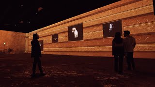 Immersive King Tut Opens in Phoenix