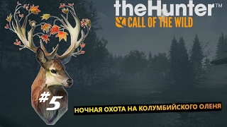 theHunter Call of the Wild #5 Ночная охота на Колумбийского оленя theHunter Call of the Wild #5 Ночная охота на Колумбийского оленя