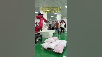 Palletizing robot #Palletizing robot #Six-axis robot #Industrial robot