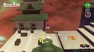 I proved Relaxless Vault Roof Hopper !!!!!!!
